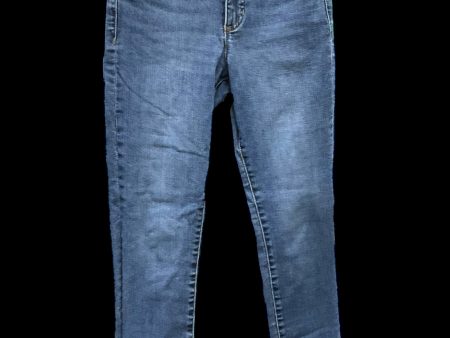 Jeans Skinny By Banana Republic In Blue Denim, Size: 2 Online Hot Sale