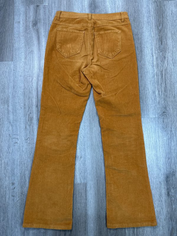 Jeans Boot Cut By Kensie In Orange, Size: 6 Discount