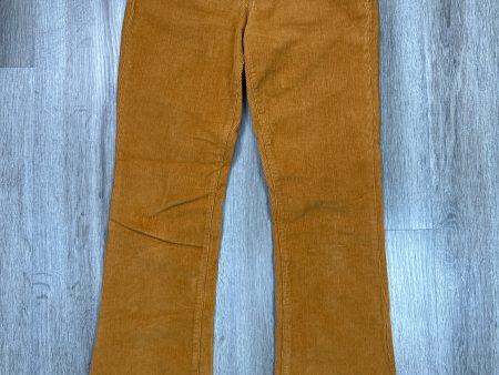 Jeans Boot Cut By Kensie In Orange, Size: 6 Discount