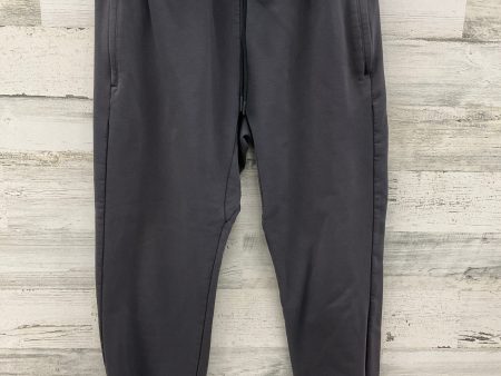 Athletic Pants By Fabletics In Grey, Size: M For Cheap