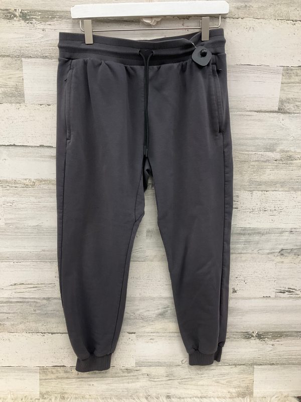 Athletic Pants By Fabletics In Grey, Size: M For Cheap