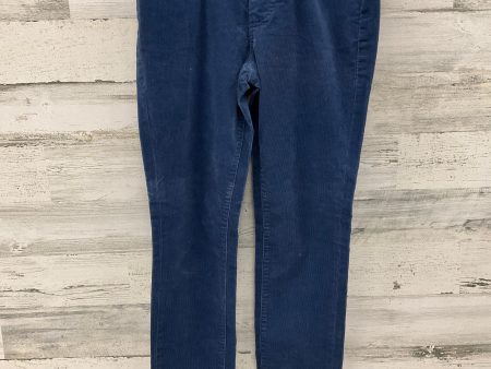 Jeans Jeggings By Jag In Blue, Size: 2 Online Sale