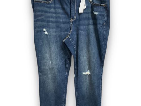 Jeans Straight By Lane Bryant In Blue Denim, Size: 20 Discount